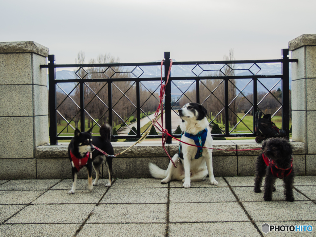 前田森林公園の展望台