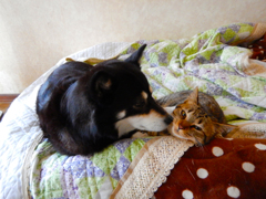 DSCN0042