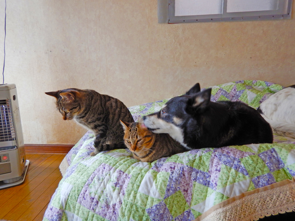 DSCN0078