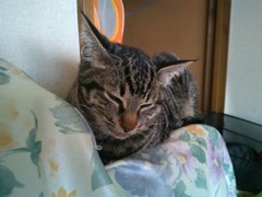 WP_20151224_10_40_08_Pro