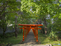 札幌伏見稲荷神社