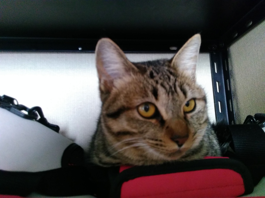 2015_12_30_14_27_32_OneShot