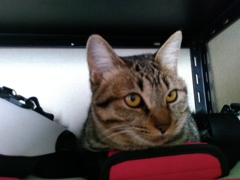 2015_12_30_14_27_32_OneShot