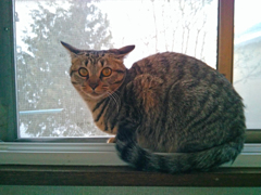 WP_20151223_07_24_52_Pro