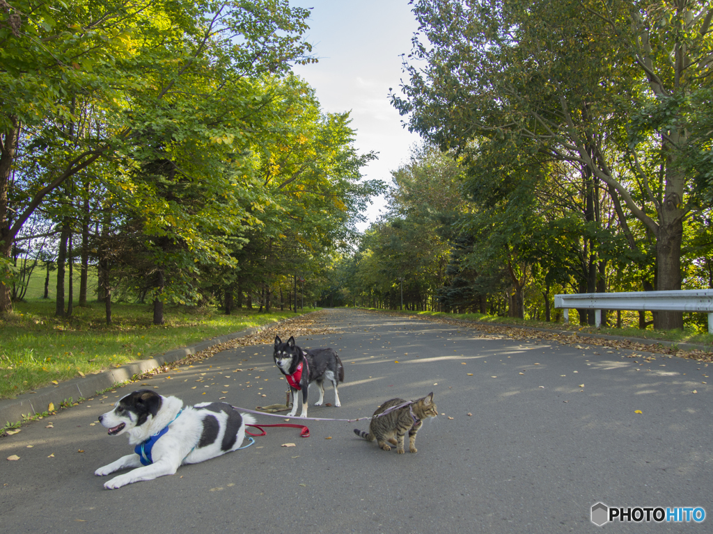 モエレ沼公園