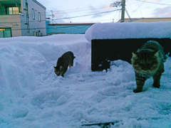 2015_12_30_15_48_18_OneShot