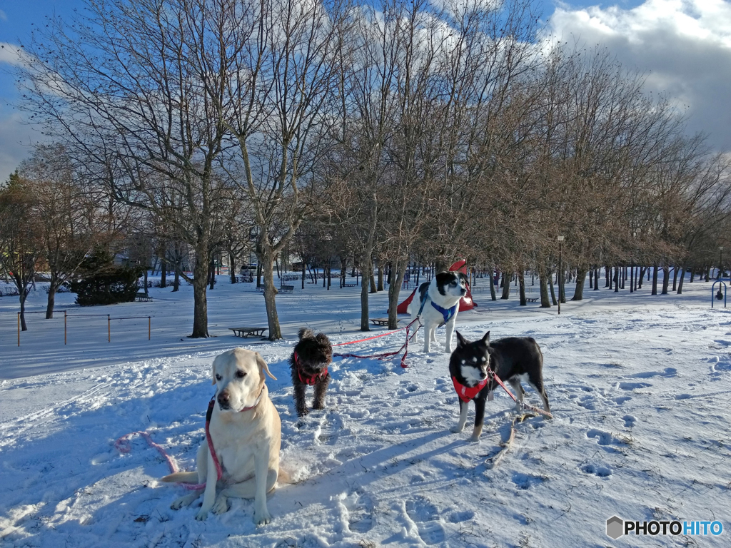 LRM_20161124_140410
