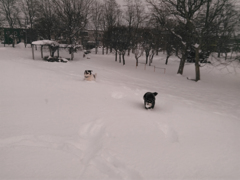 WP_20160122_13_24_19_Pro