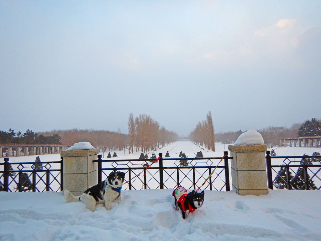 DSCN0090