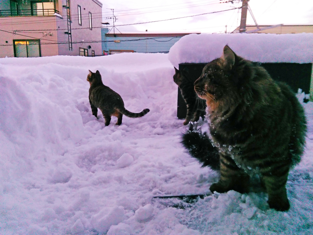 2015_12_30_15_48_37_OneShot