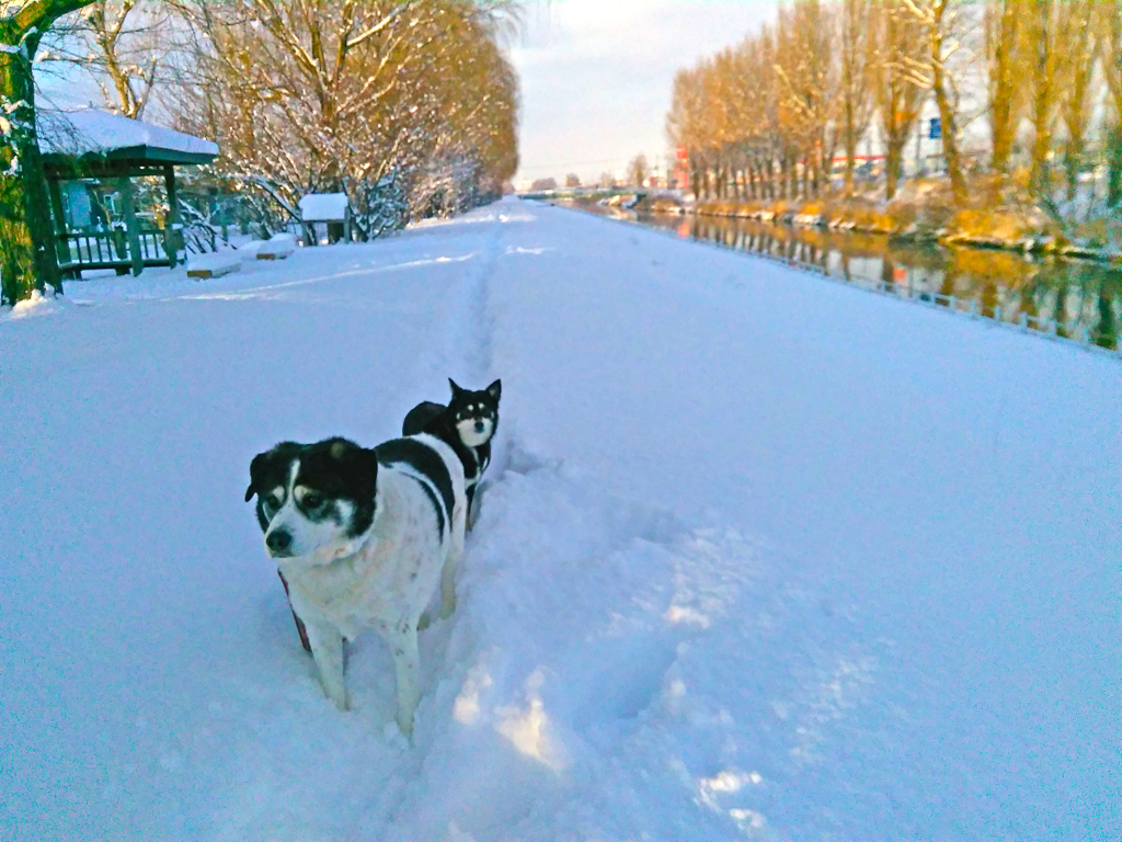 2015_12_30_15_20_56_OneShot