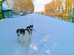 2015_12_30_15_20_56_OneShot