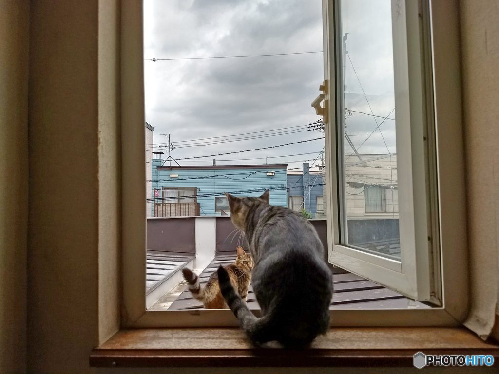 IMG_20170725_111425538_HDR