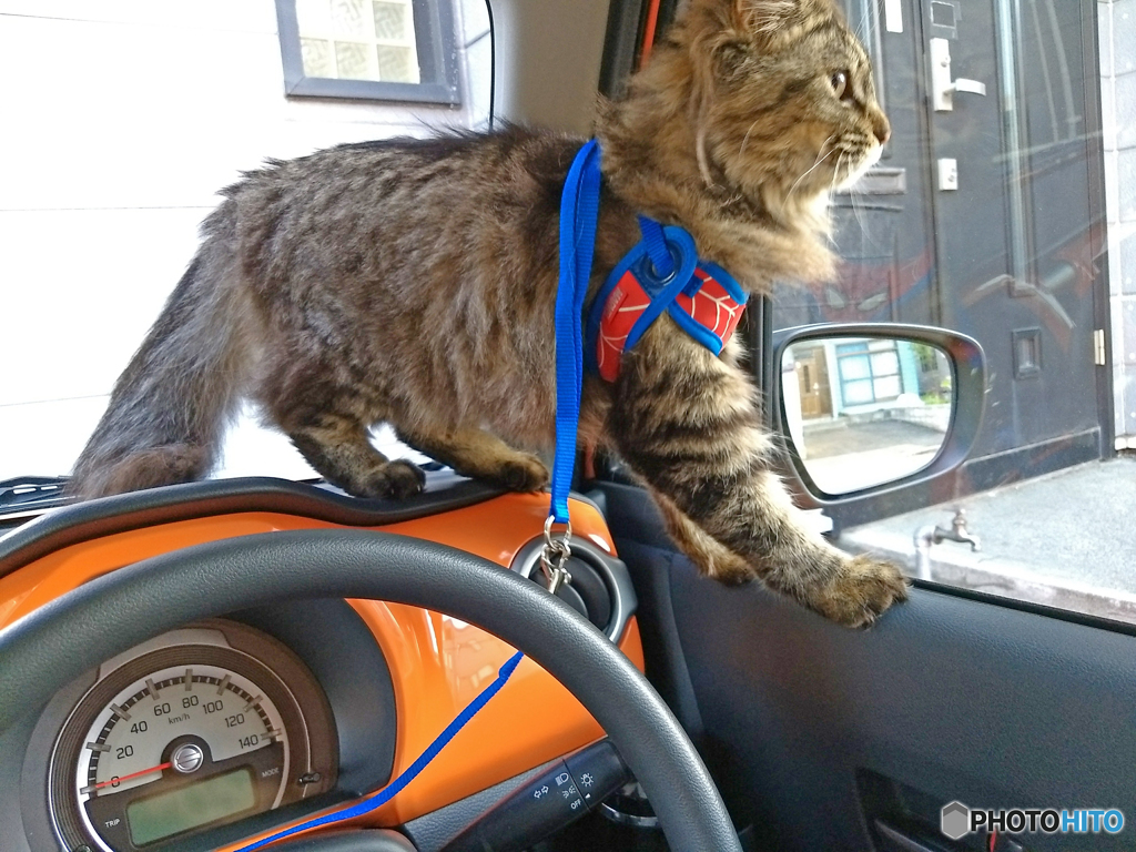 乗車練習中