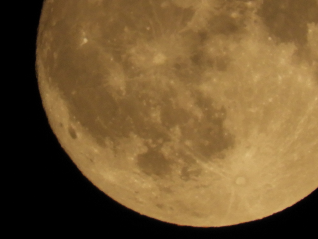 DSCN0226