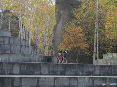 PA250347