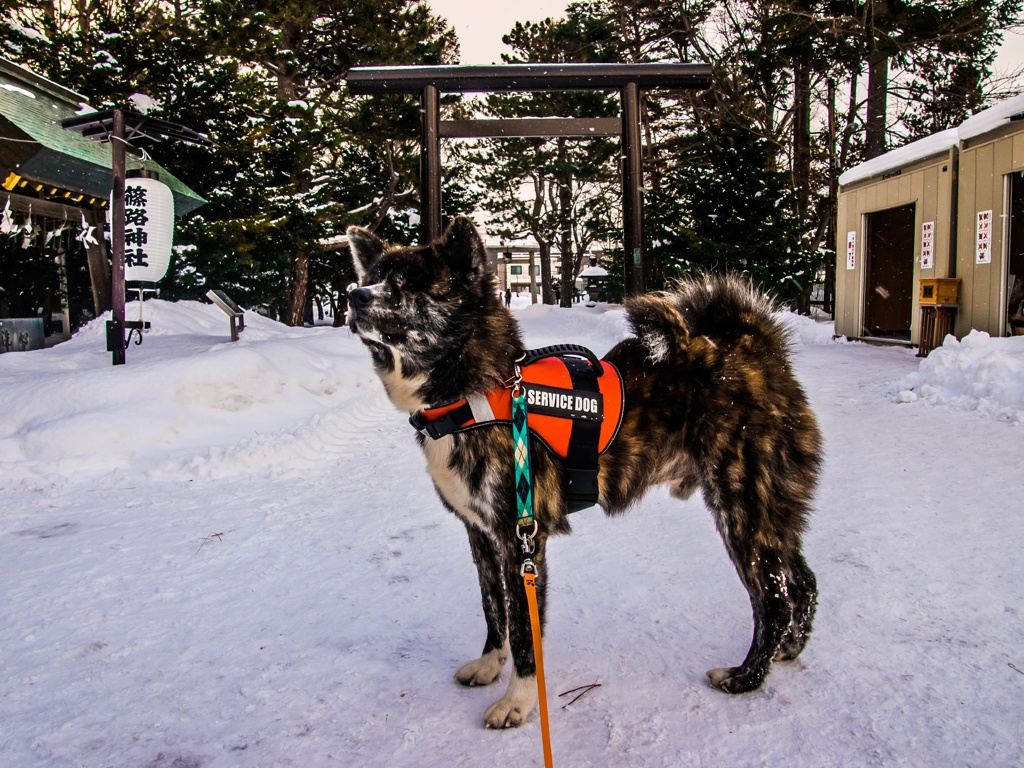 PSX_20210114_203747-01