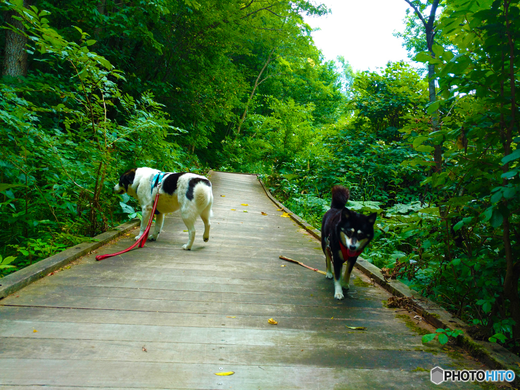 平岡公園