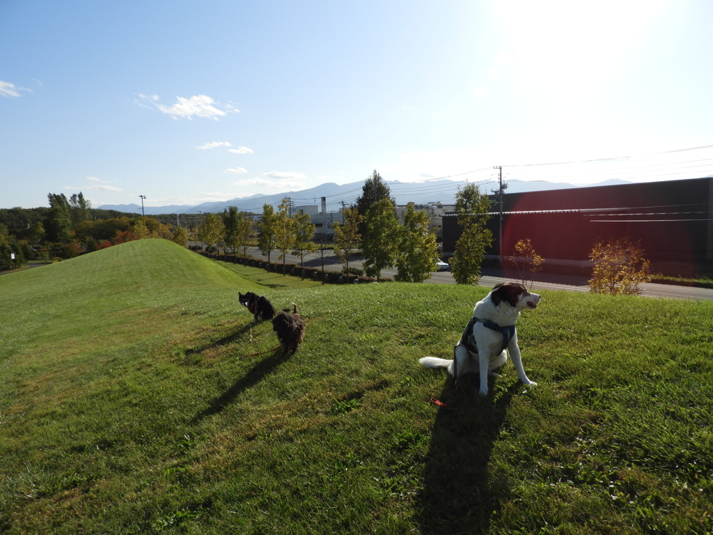 DSCN0206