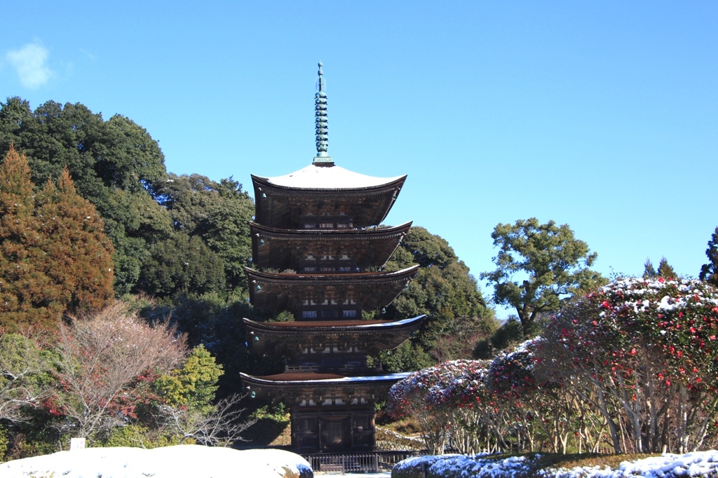 山茶花と五重塔