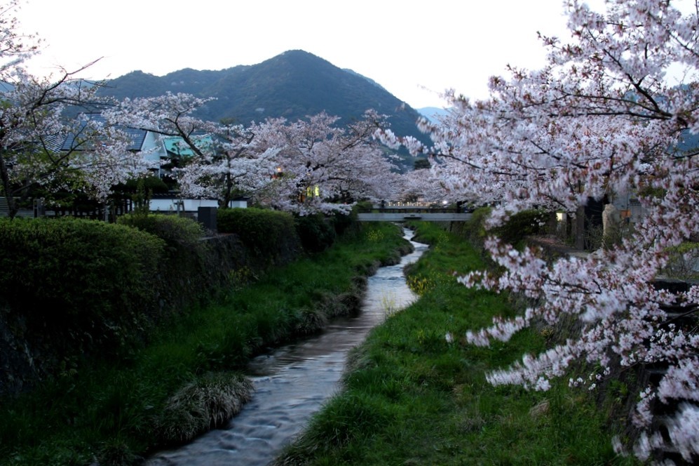 一の坂川の夕景