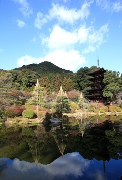 正月の瑠璃光寺五重塔