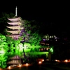 瑠璃光寺の夜景