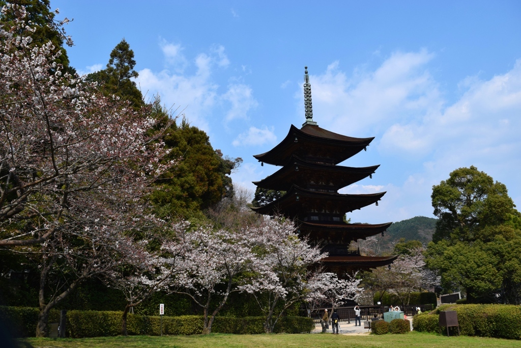 桜と五重塔