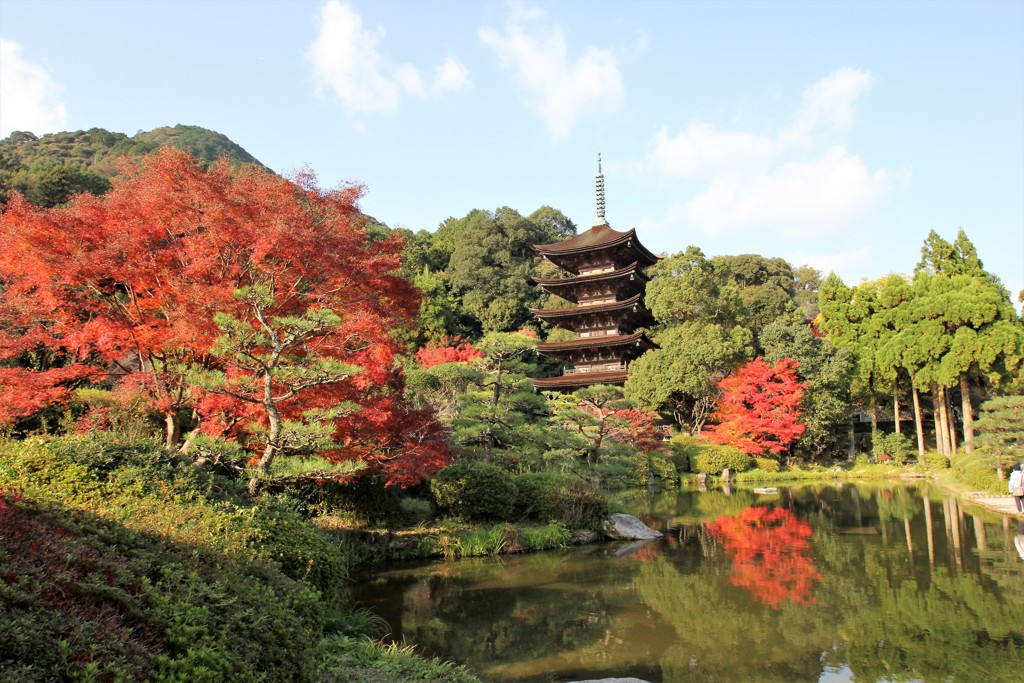 秋の瑠璃光寺五重塔