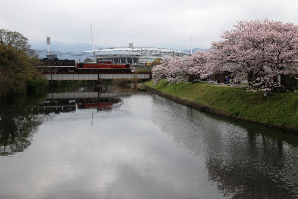 山口線と桜