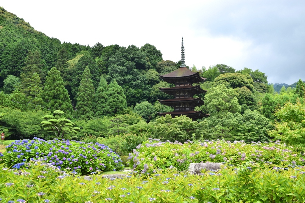 瑠璃光寺五重塔