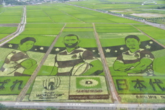 入りきらなかった