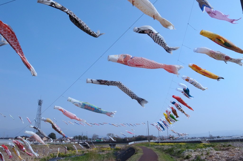 魚群