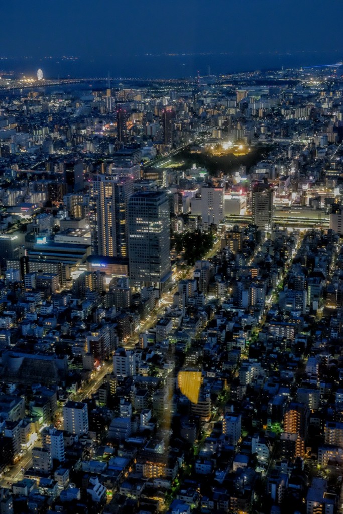 スカイツリーより②