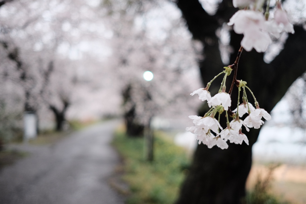 雨の中で１