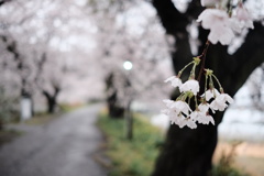 雨の中で１