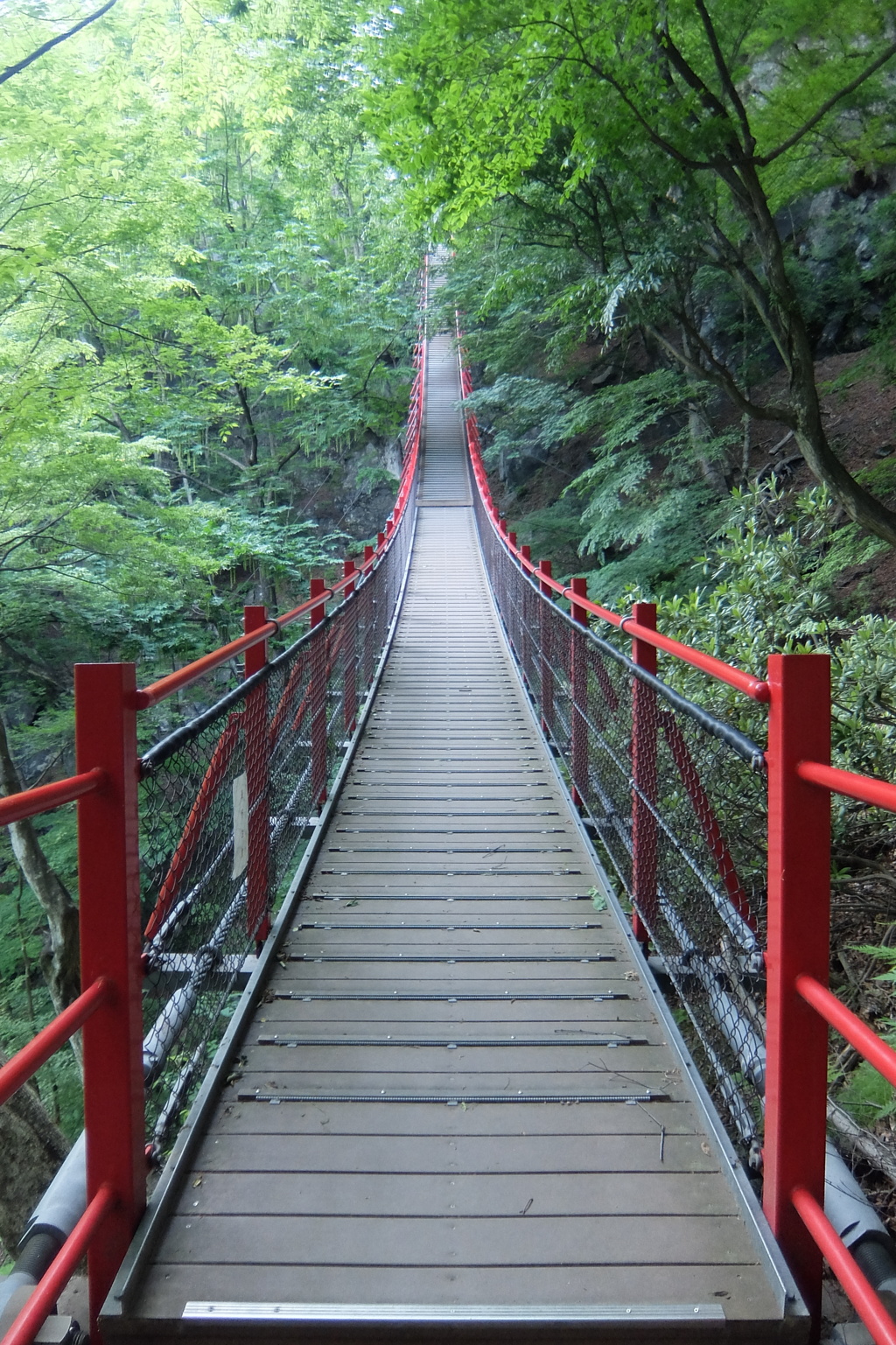 けさかけ橋