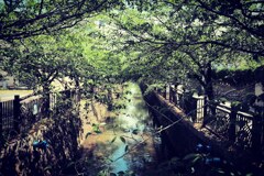 八瀬川1