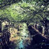 八瀬川1