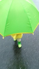 急げ!!