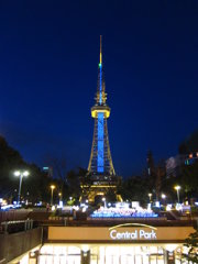 New Year's Eve at Nagoya Central Park