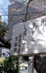 December 2015 in Kyoto #2
