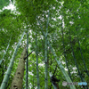 智頭往来3