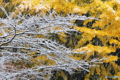 雪降りしきる