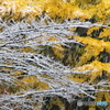 雪降りしきる