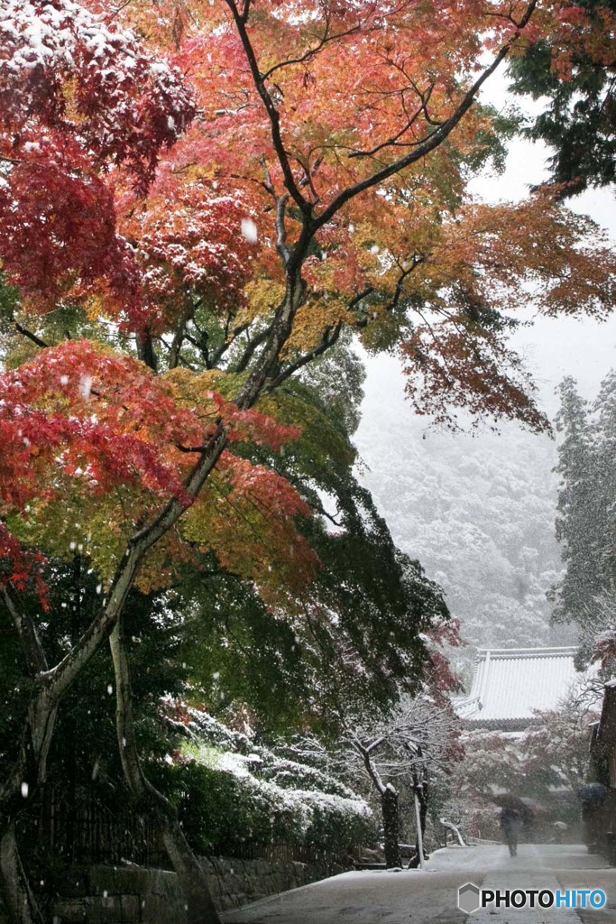 初雪の円覚寺