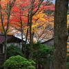 古寺の秋深し