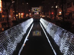 星川通りイルミ