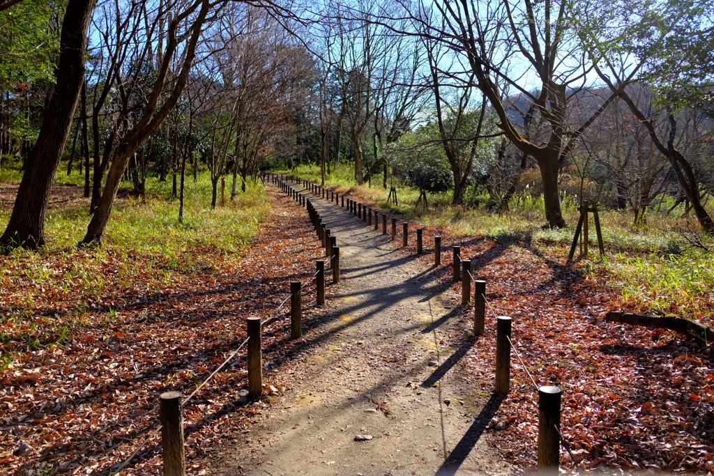 嵐山渓谷遊歩道