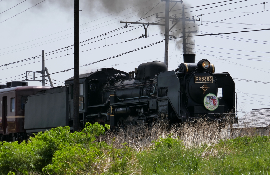 秩父鉄道パレオエクスプレス